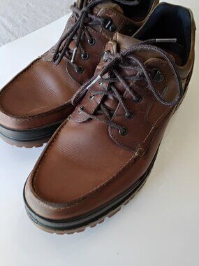 ECCO Men's Track 25 Low GORE-TEX Shoes Size 12